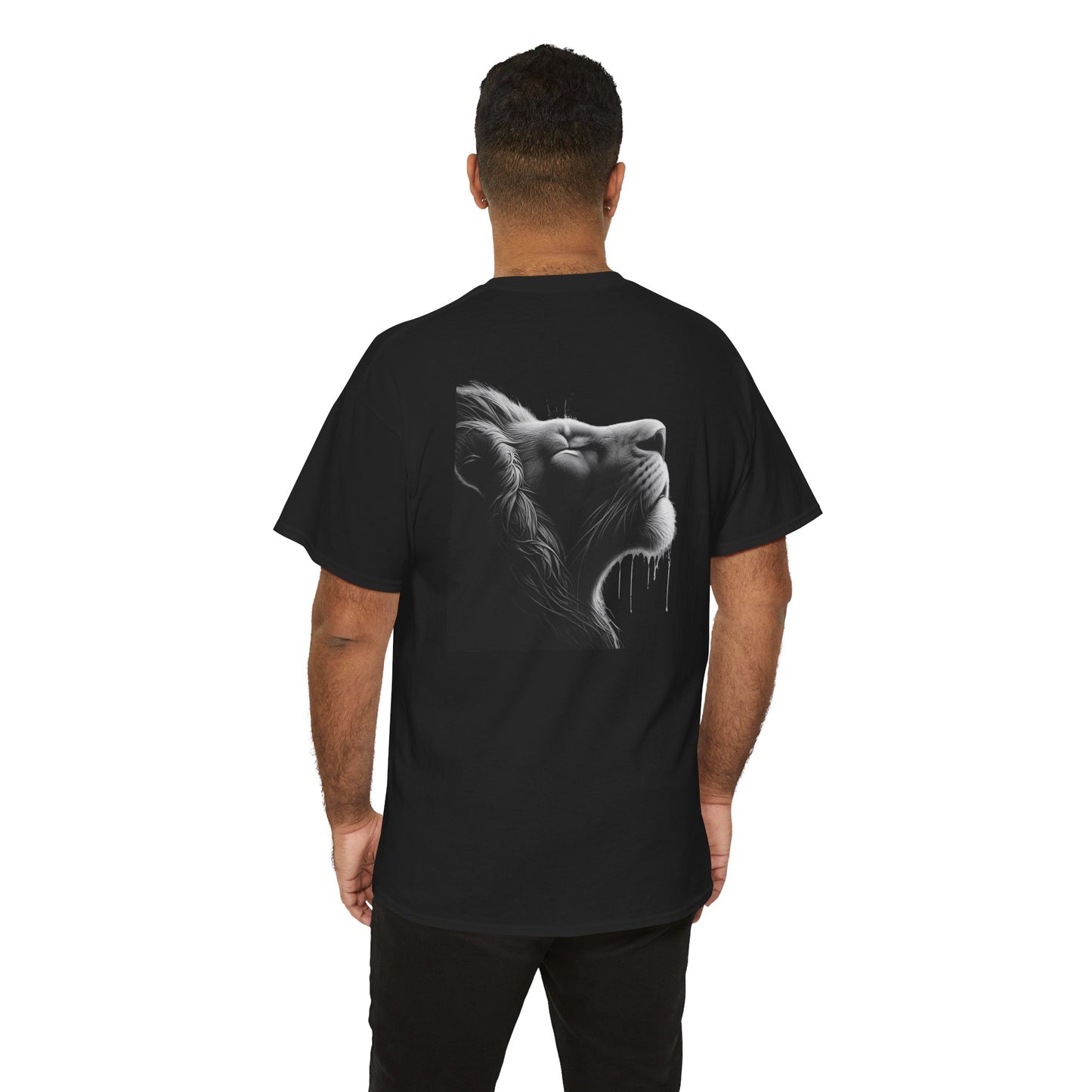 Lion in darkness π