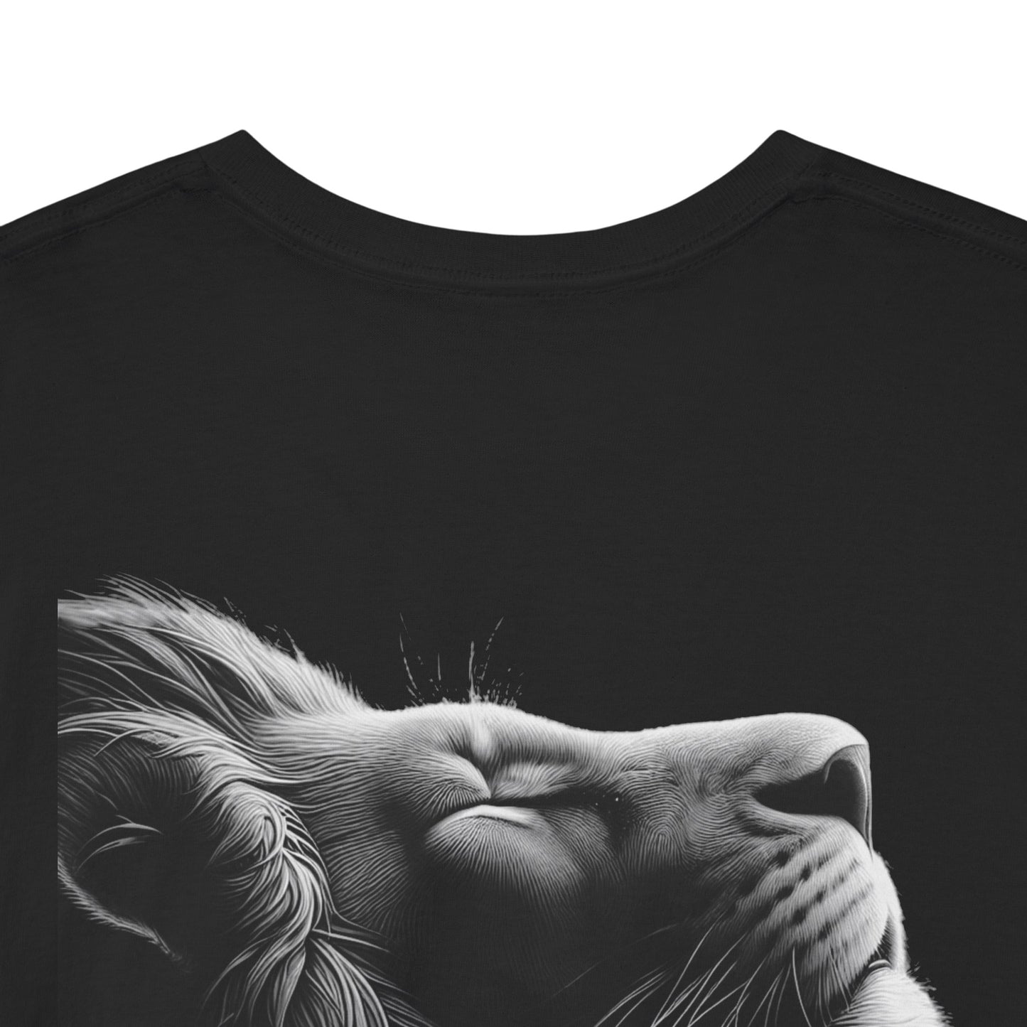 Lion in darkness π